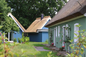 Am Trommelplatz - Ferienwohnung 2 in Wieck Am Darß